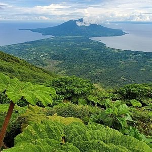 Volcán Concepción Cloud Forest Trek