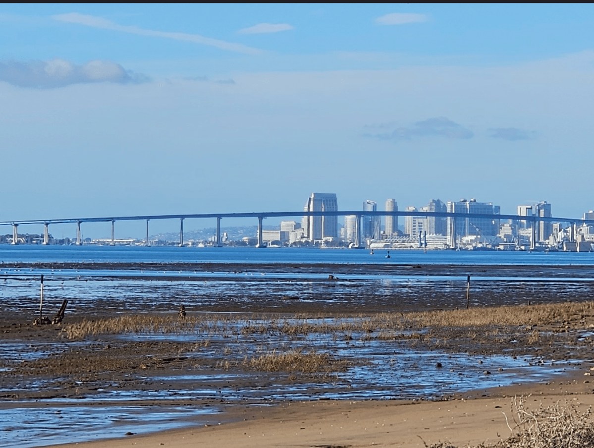 Bayside Park & Trail (Sweetwater Marsh)