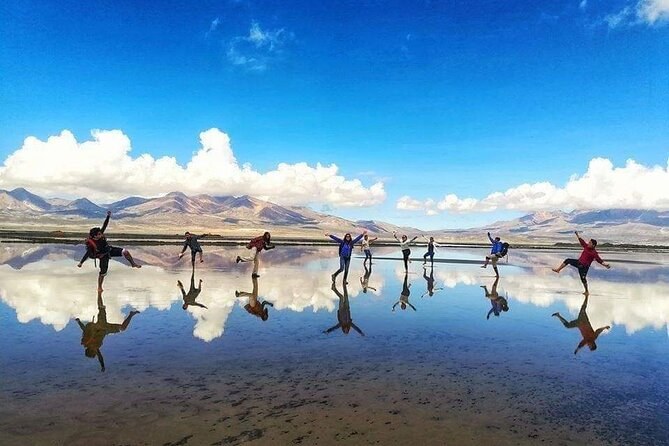 Laguna de Salinas - High Altitude Ecosystem Tour