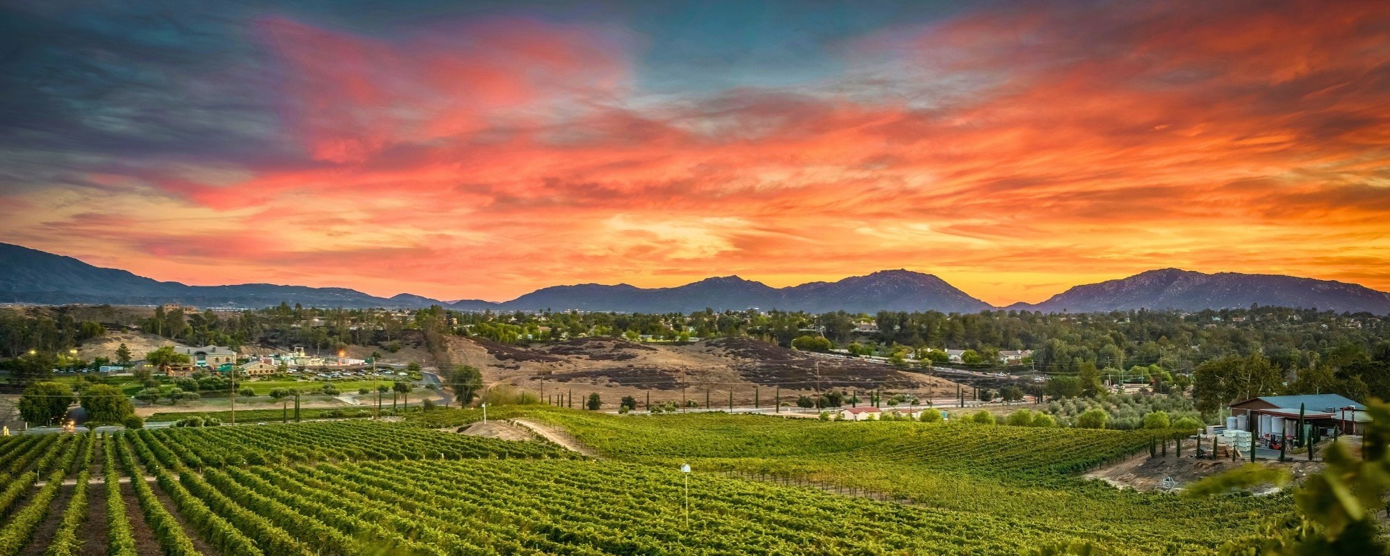 Thornton Winery