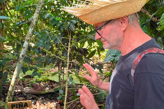 Barahona Coffee & Cacao Farm Tour (Finca Artesanal)