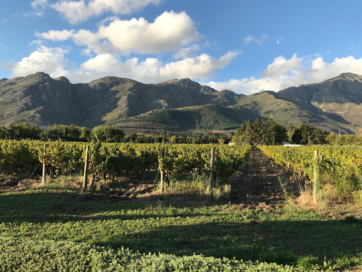 Grande Provence Estate Fine Art & Wine
