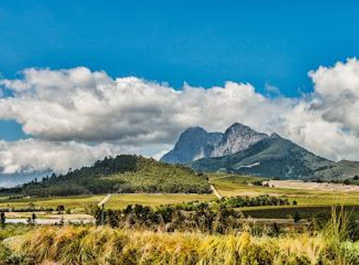 Anura Vineyards Botanical Wine Trail