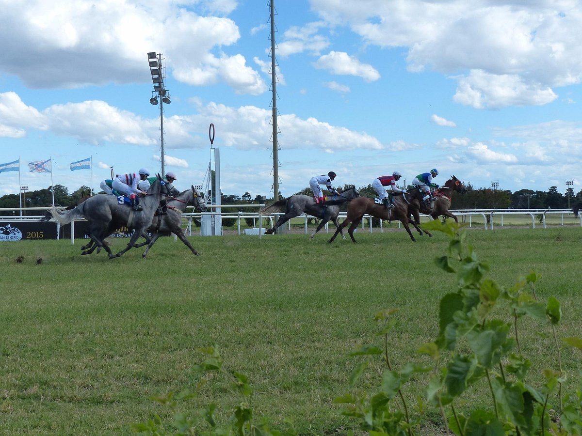 San Isidro Hipódromo (Horse Racing at Historic Track)