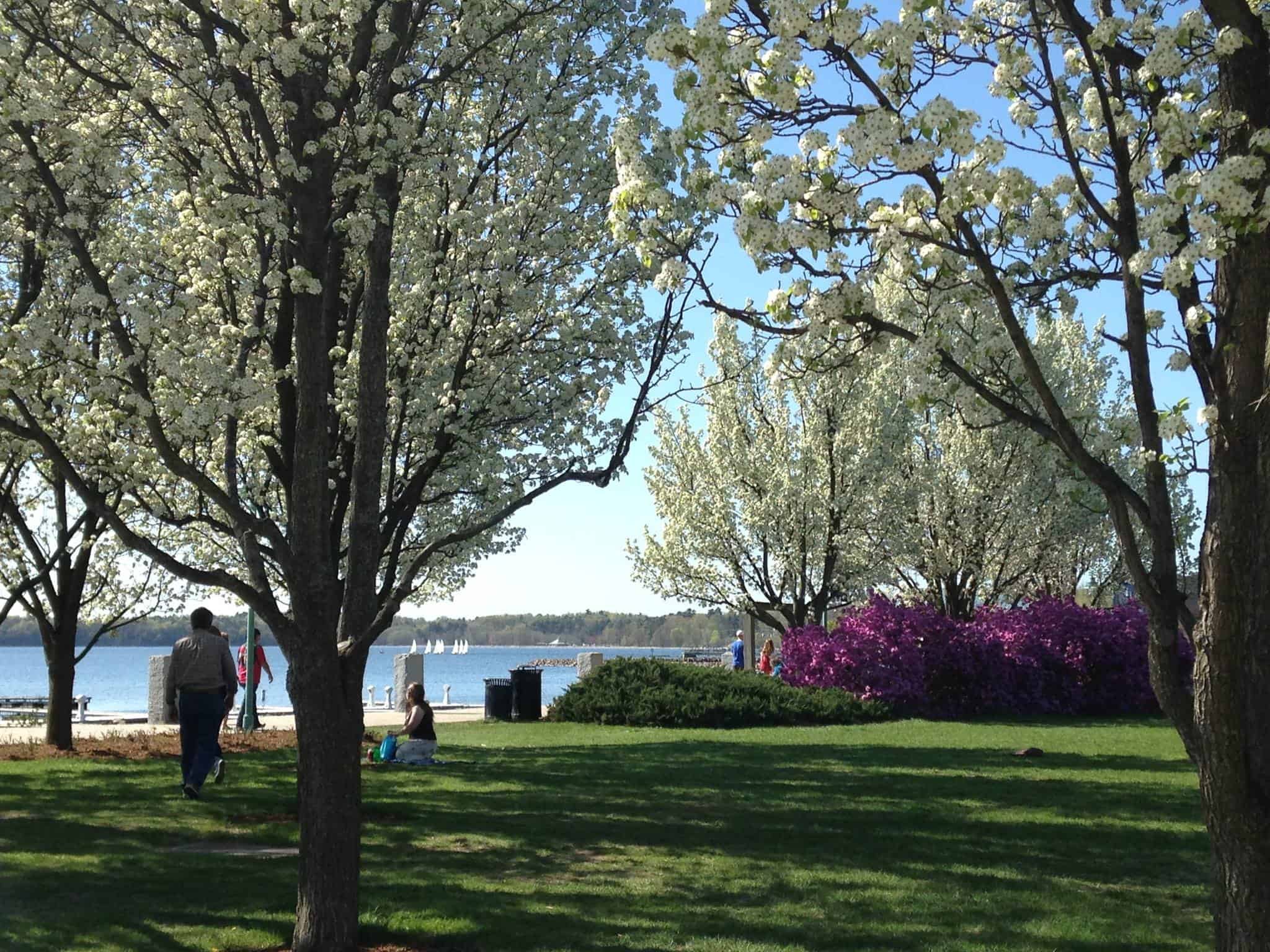 Burlington Community & Parks Recreation