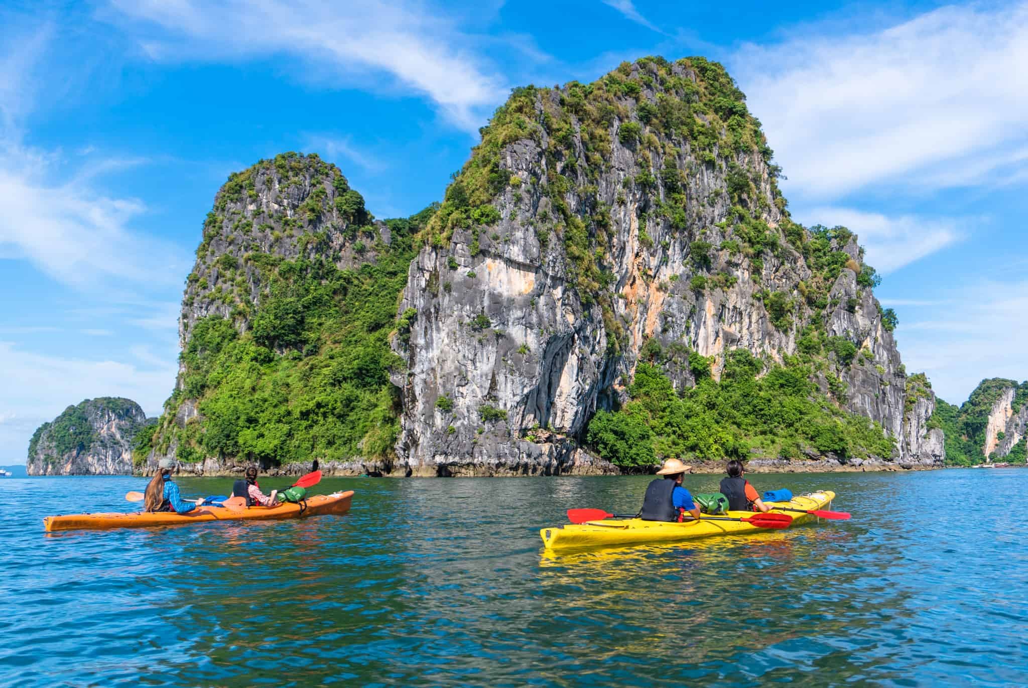 Kayaking Through Tung Sau Canal - Mangrove Ecosystem