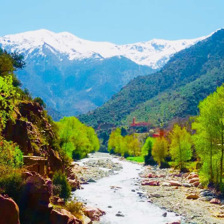 Takerkoust Lake & Atlas Mountain Half-Day Trek