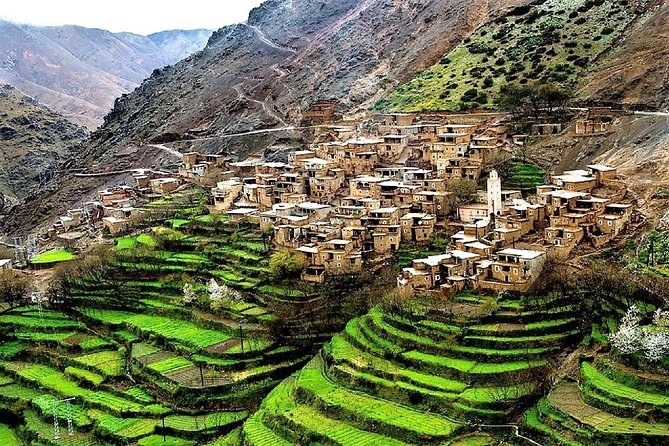 High Atlas Mountain Homestay & Village Immersion