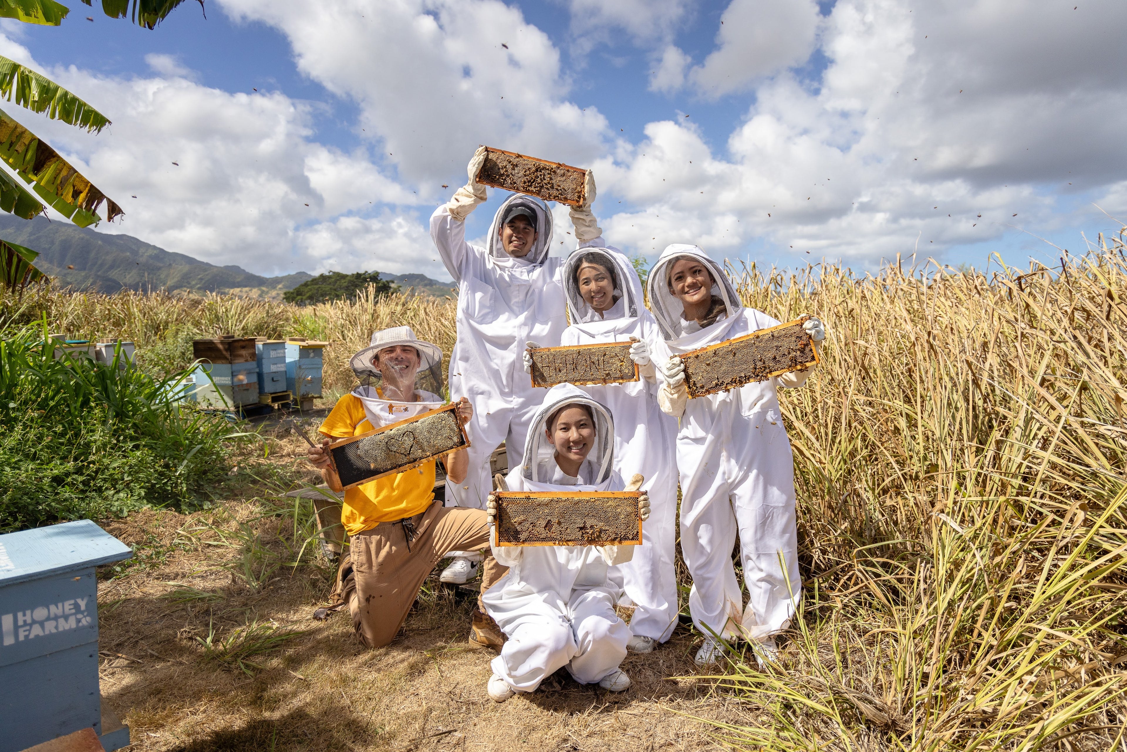 Transylvanian Honey Farm Experience - Apitherapy & Beekeeping