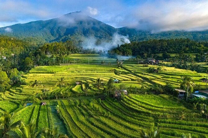 Jatiluwih Rice Terraces (UNESCO Site) with Farmer's Story