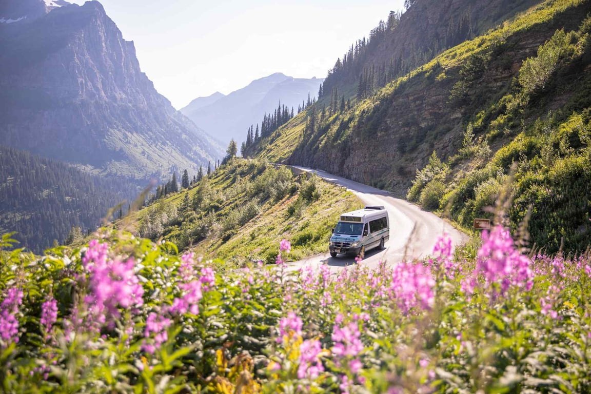 Going-to-the-Sun Road Guided High Alpine Walk
