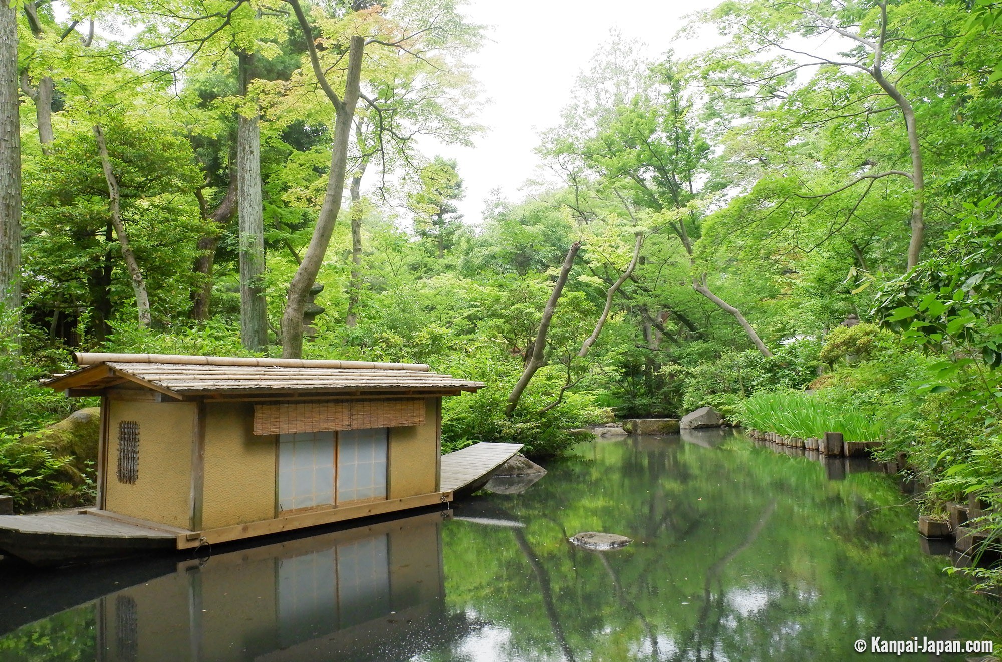 Nezu Museum - Hidden Art Collection & Garden