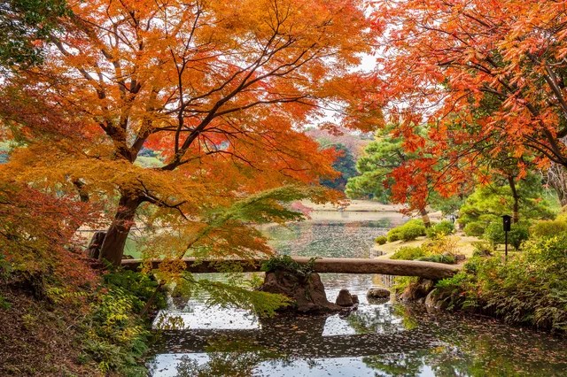 Rikugien Garden - Edo-Era Landscape Walking Meditation