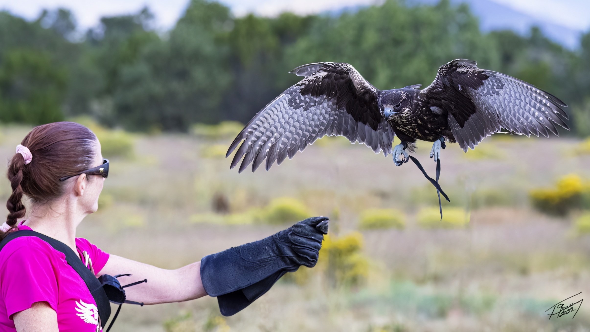 Raptors and Recreation Center Private Falconry Lesson