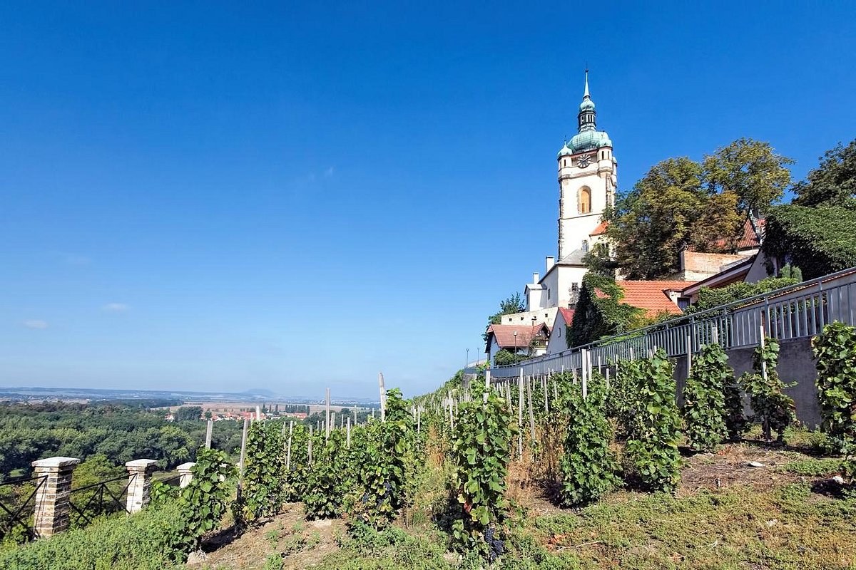 Zámek Mělník (Wine Estate & Renaissance Castle)