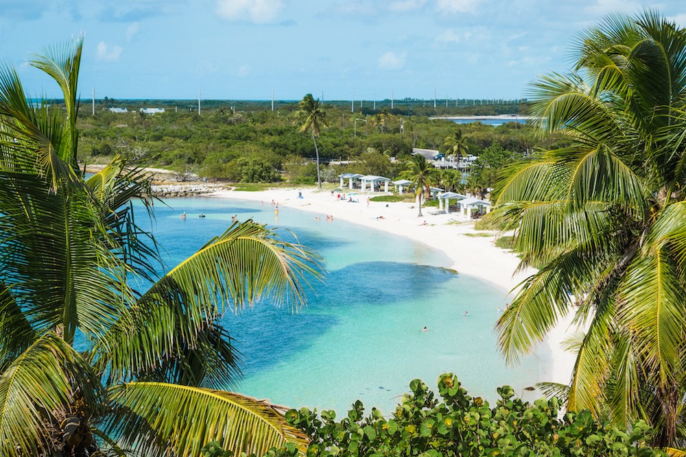 Bahia Honda State Park - Keys island ecosystem