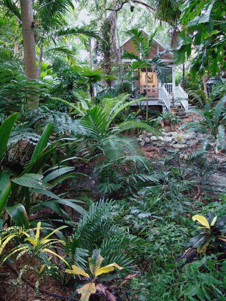 Nancy Forrester's Secret Garden