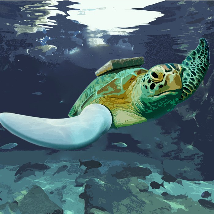 Loggerhead Turtle Habitat & Marine Education - Sea Turtle Hospital