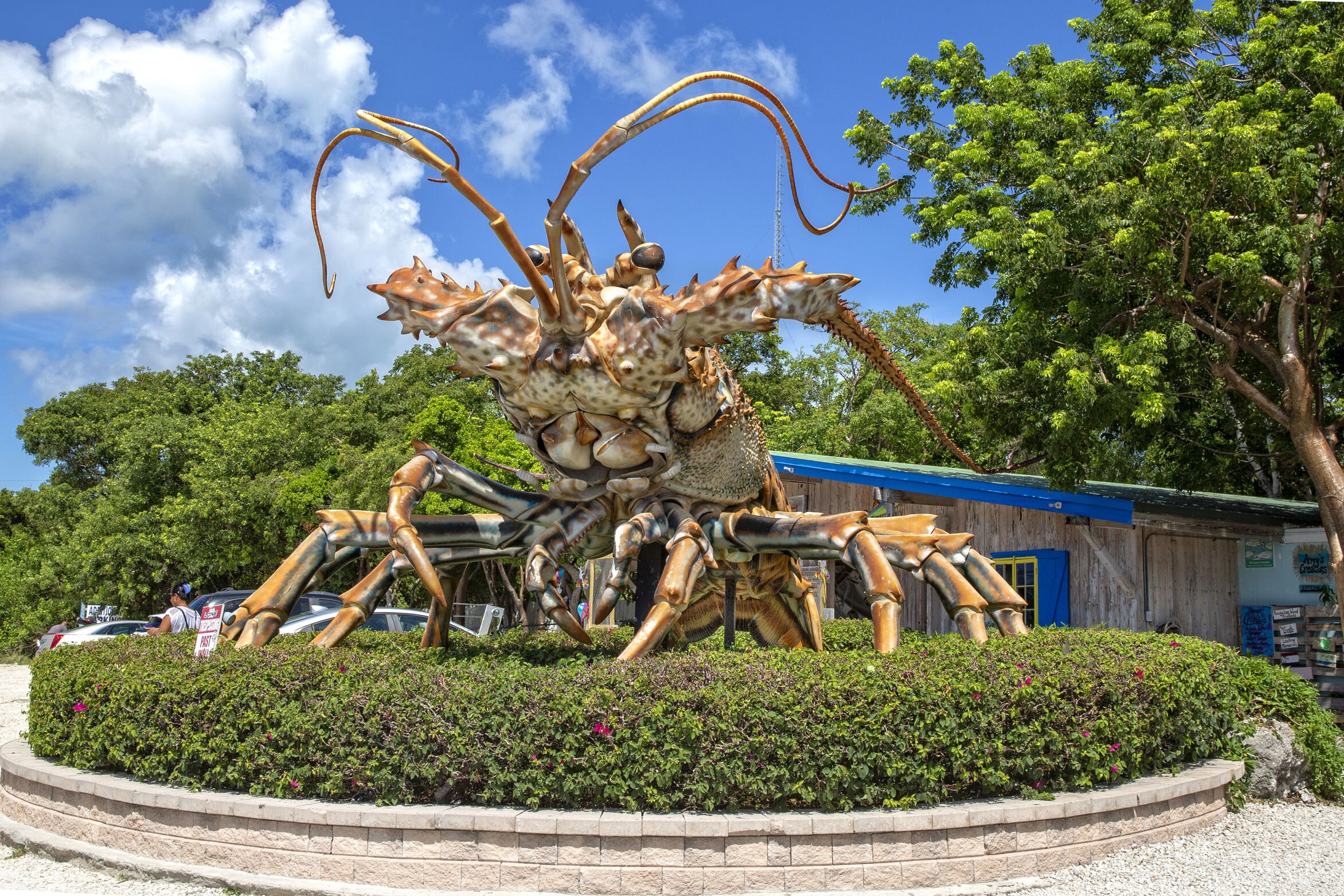 Lobster Hatchery & Educational Center - aquaculture experience