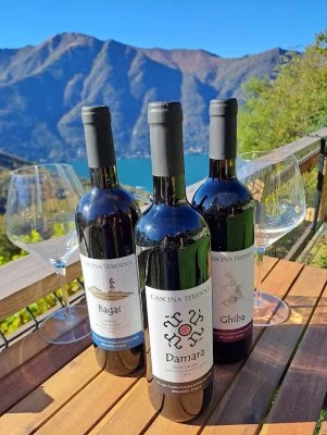 Olive Oil & Wine Estate Tour in San Fermo della Battaglia