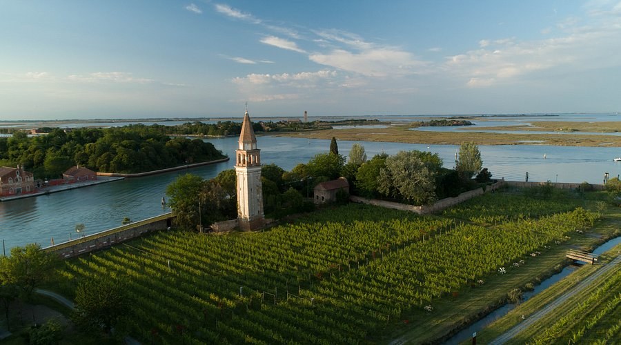 Mazzorbo Island Vineyard & Lunch (Azienda Agricola Venissa)