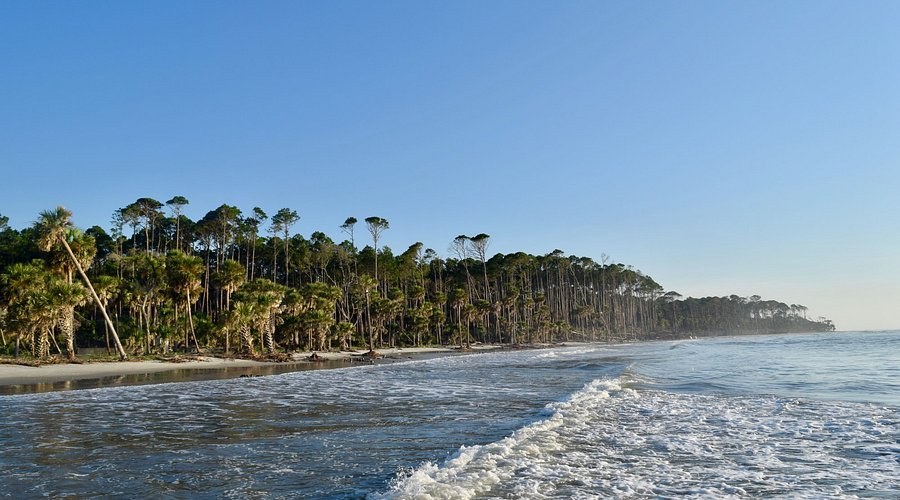 Beaufort & Hunting Island (Sea Islands Experience)