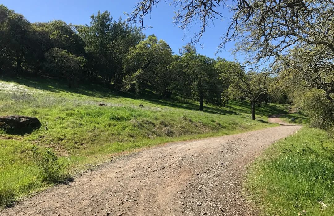 River to Ridge Trail (Napa Valley Land Trust)