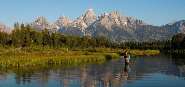 Jackson Hole Fly Company