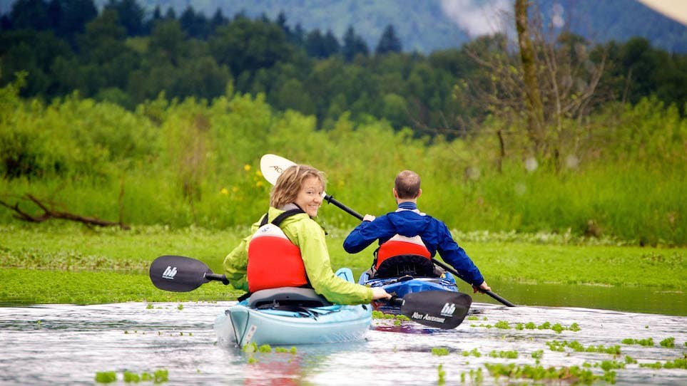 Smith and Bybee Wetland Refuge — Guided Kayaking & Ecological Restoration Tour
