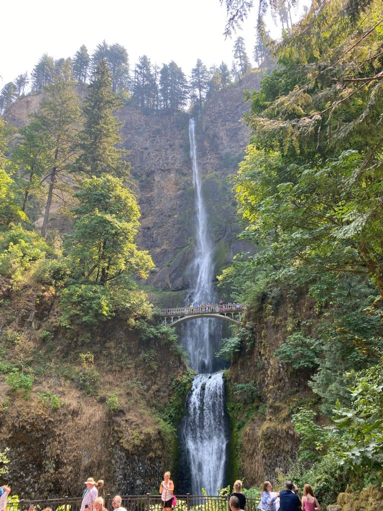 Multnomah Falls Lodge Hike + Private Naturalist Tour