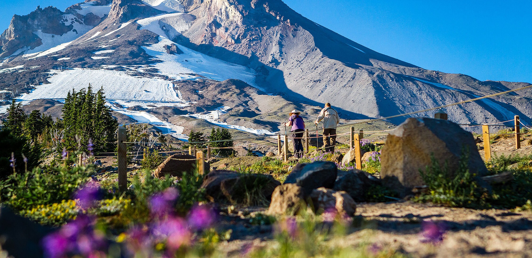 Timberline Lodge — High-Elevation Alpine Trail Network with Glacial Lake Routes