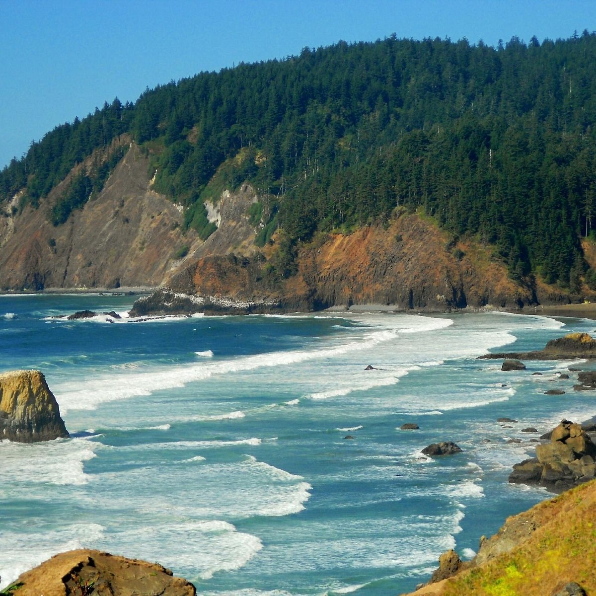 Ecola State Park — Hidden Cove Hiking & Tide Pool Exploration