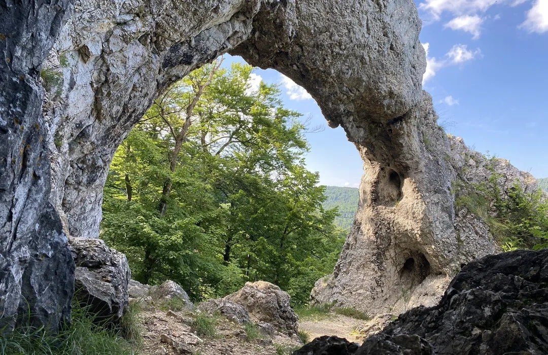 Bull's Blood, Beech Forests and a Danube Bend Weekend