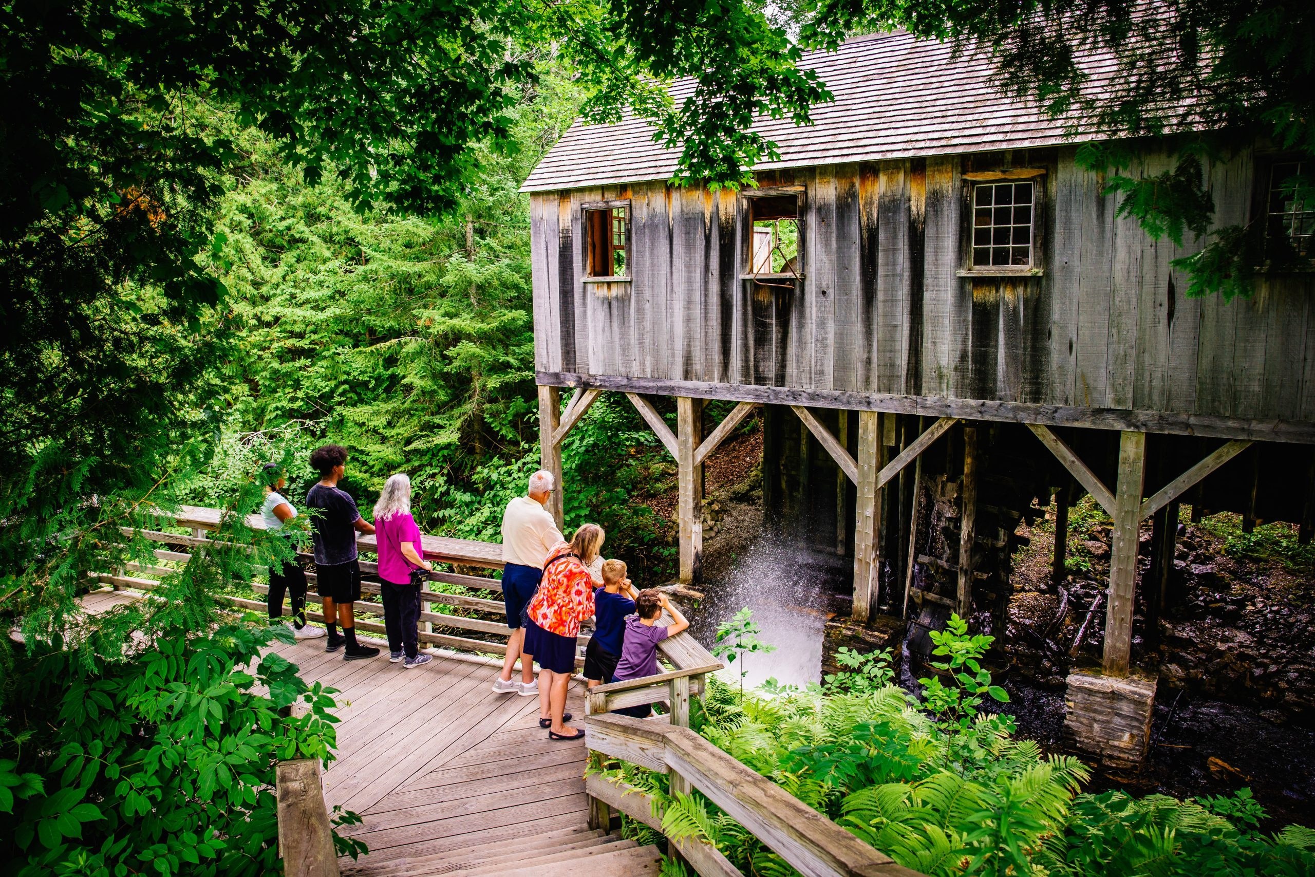 Mackinaw Mill Creek Enchanted Forest