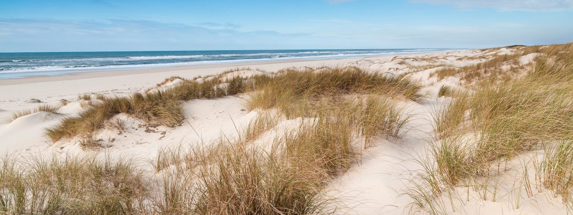 Salt, Sand and Natural Wine: The Aveiro Coast Done Right