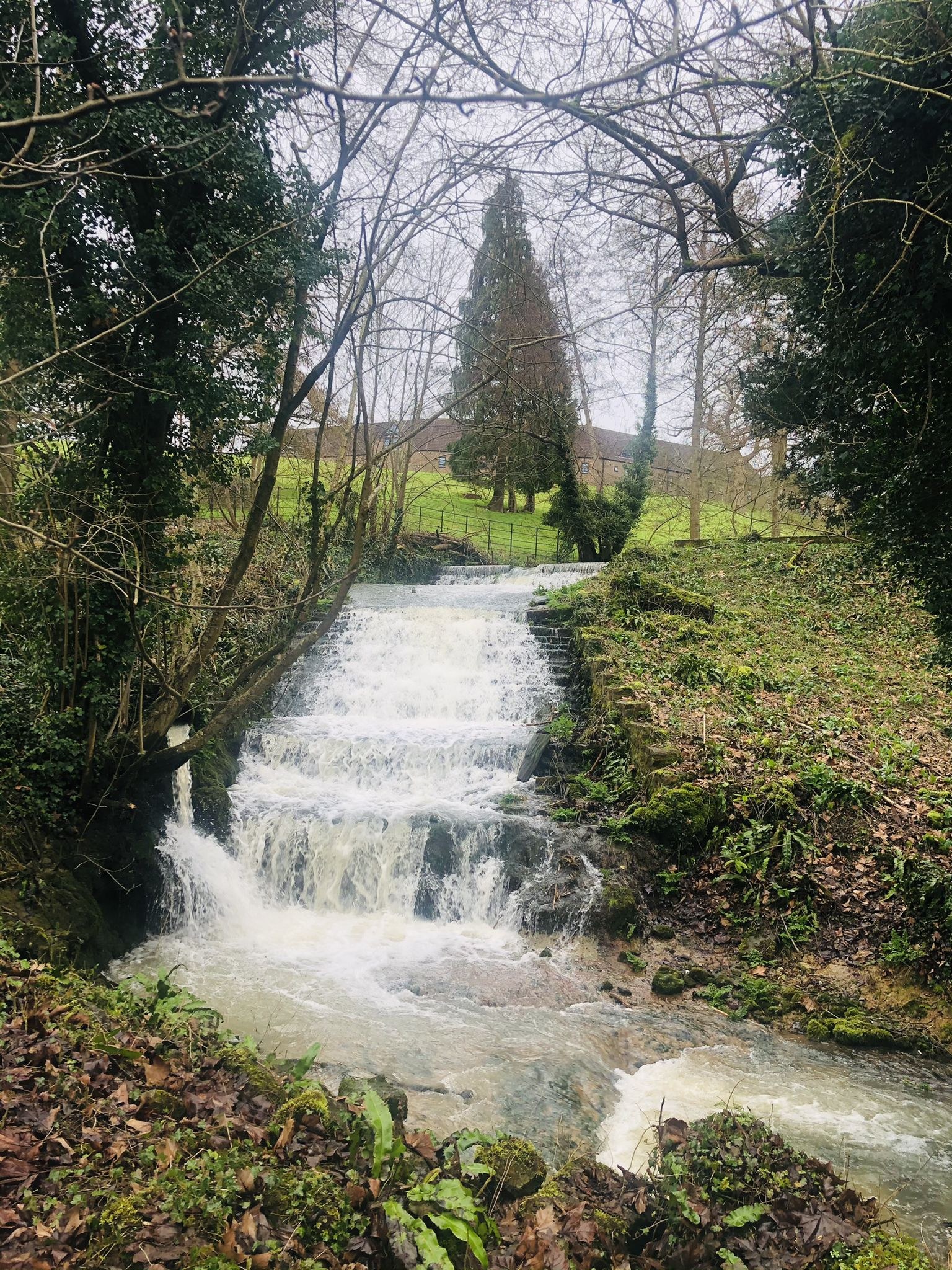 Compton Martin Secret Waterfall (Hiking)