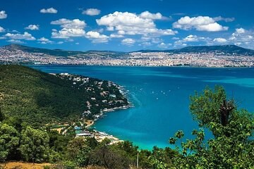 Princes' Islands Day Excursion - Buyükada