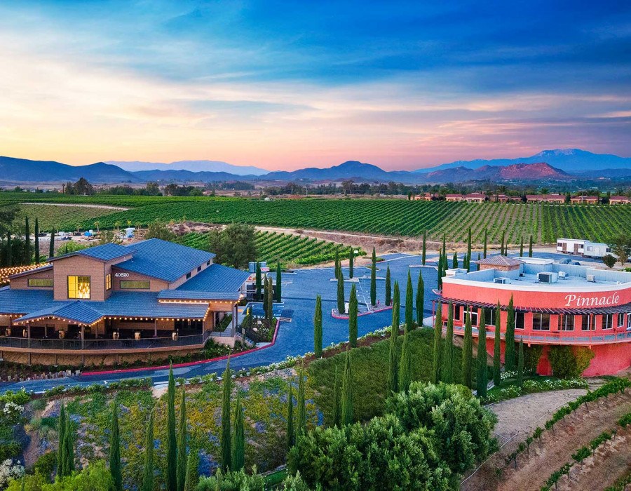 Falkner Winery