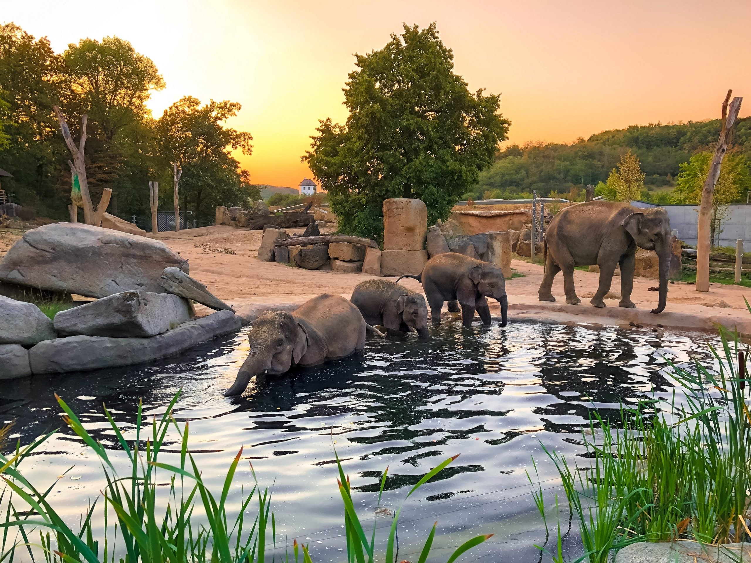 Prague Zoo