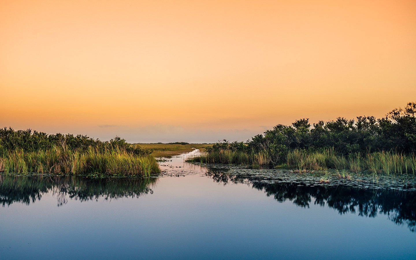 The Everglades National Park