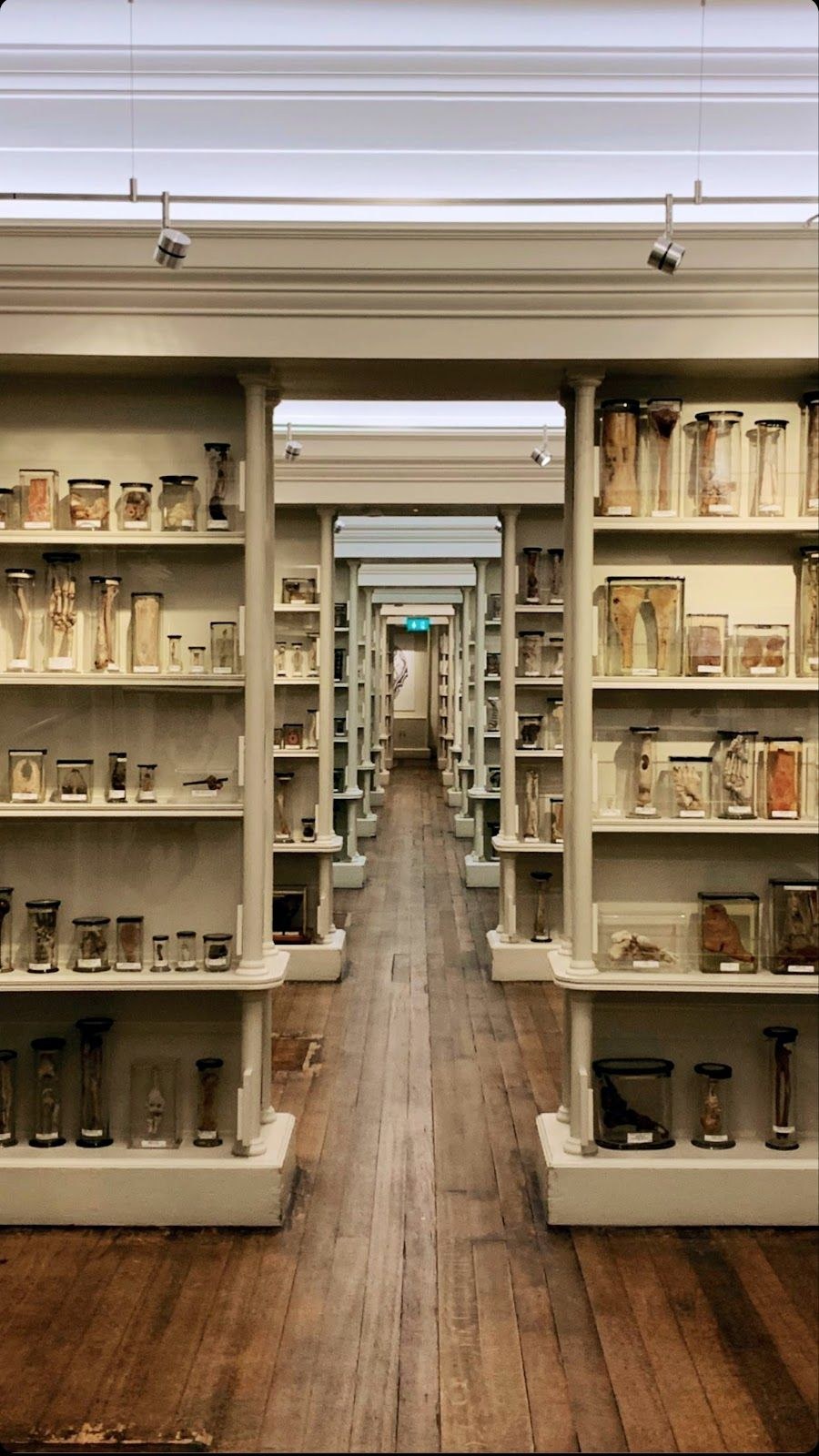 Surgeons Hall Museums