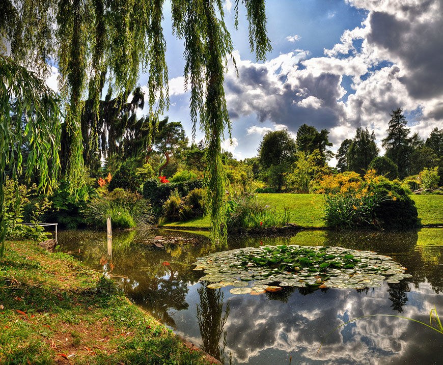 Botanical Garden of Geneva