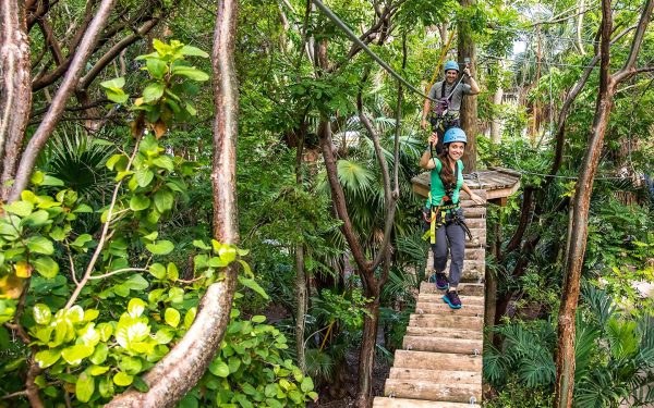 Jungle Island