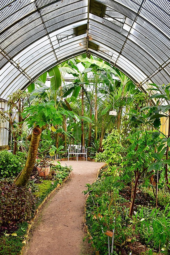 Conservatory and Botanical Garden