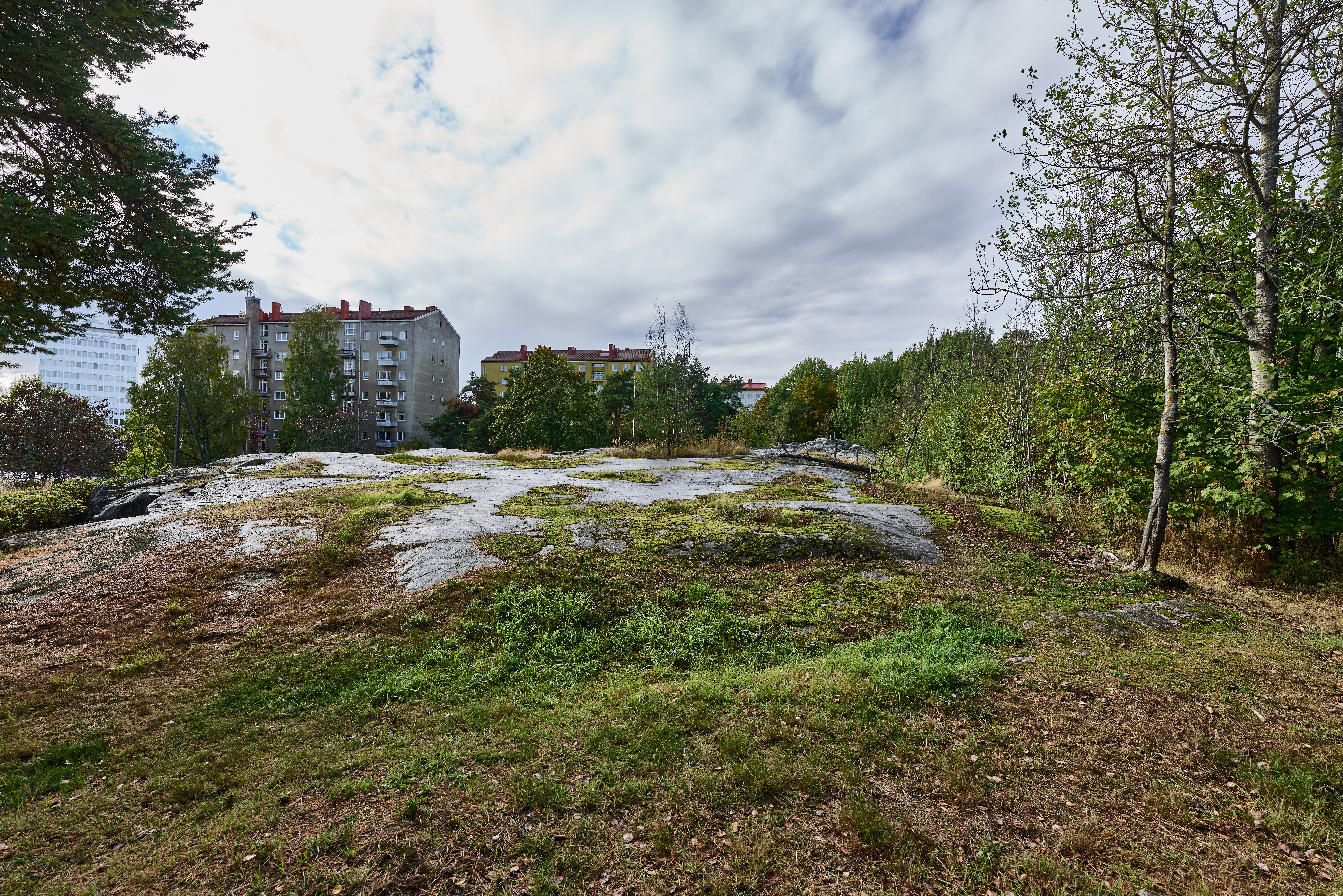 Central Park (Keskuspuisto)