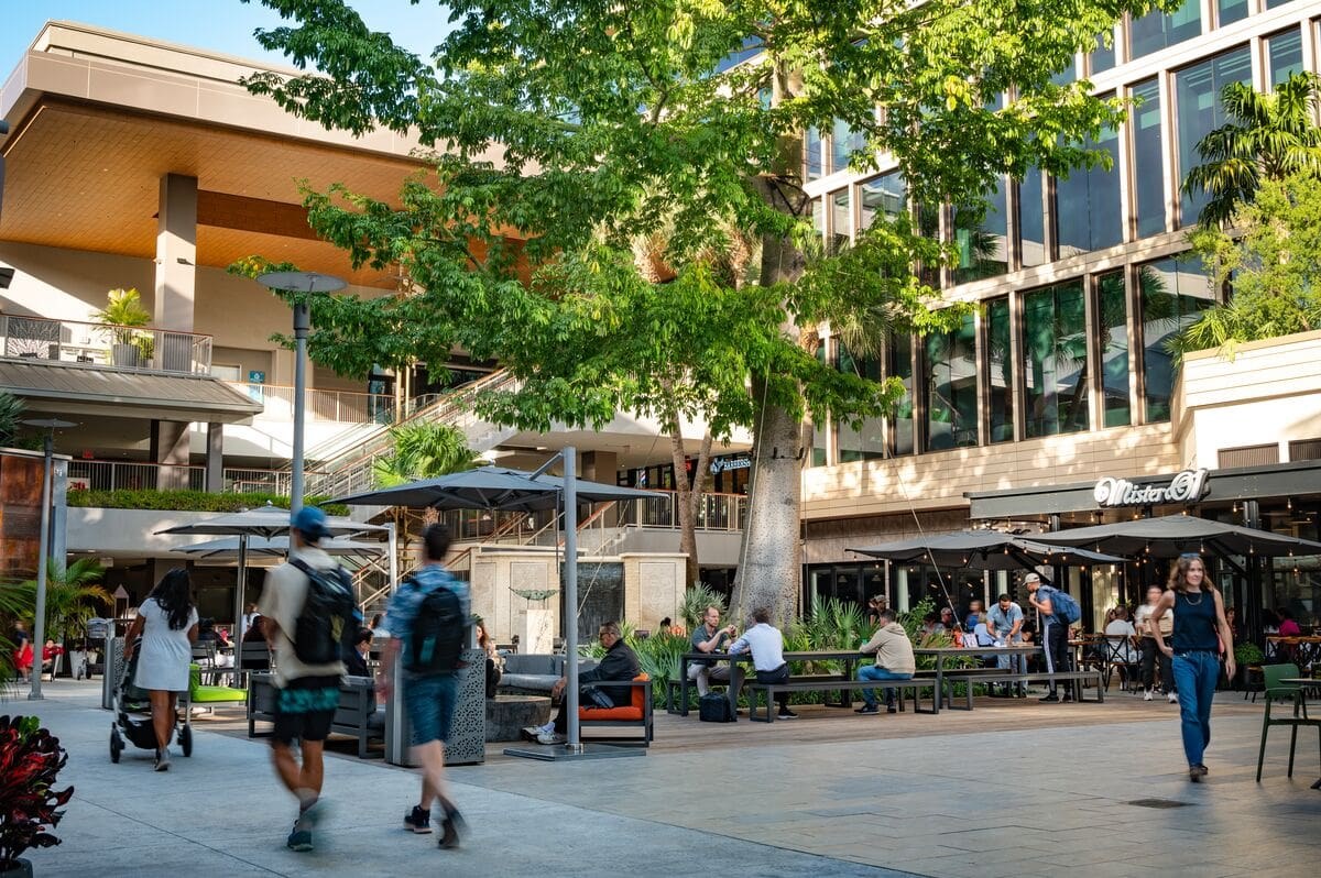 Coconut Grove