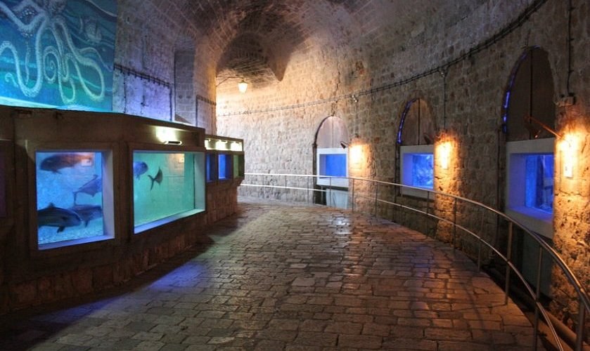Dubrovnik Aquarium