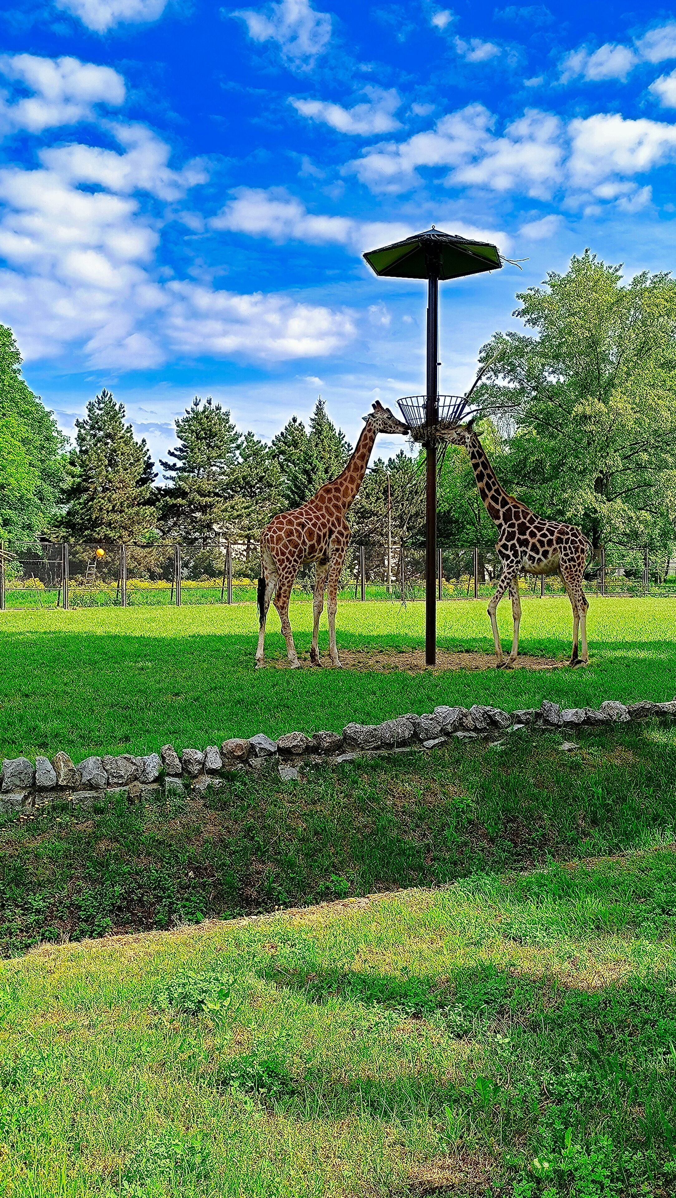 Warsaw Zoo