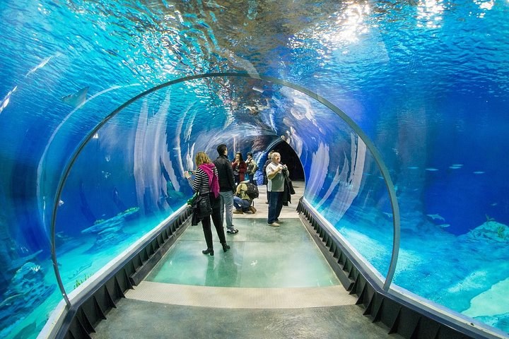 Warsaw Aquarium