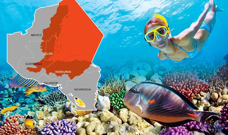 Great Mesoamerican Reef Snorkel